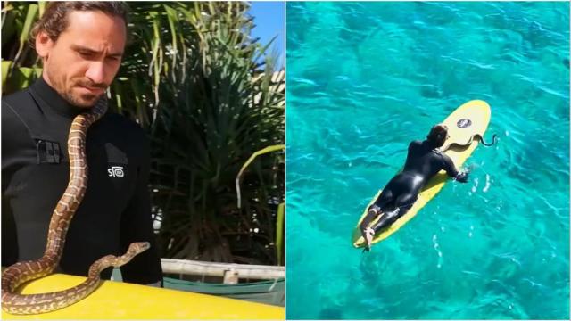 Higor Fiuza leva cobra de estimação para surfar e recebe multa acima de R$ 7 mil na cidade de Gold Coast, Austrália. Fotos: Arquivo pessoal